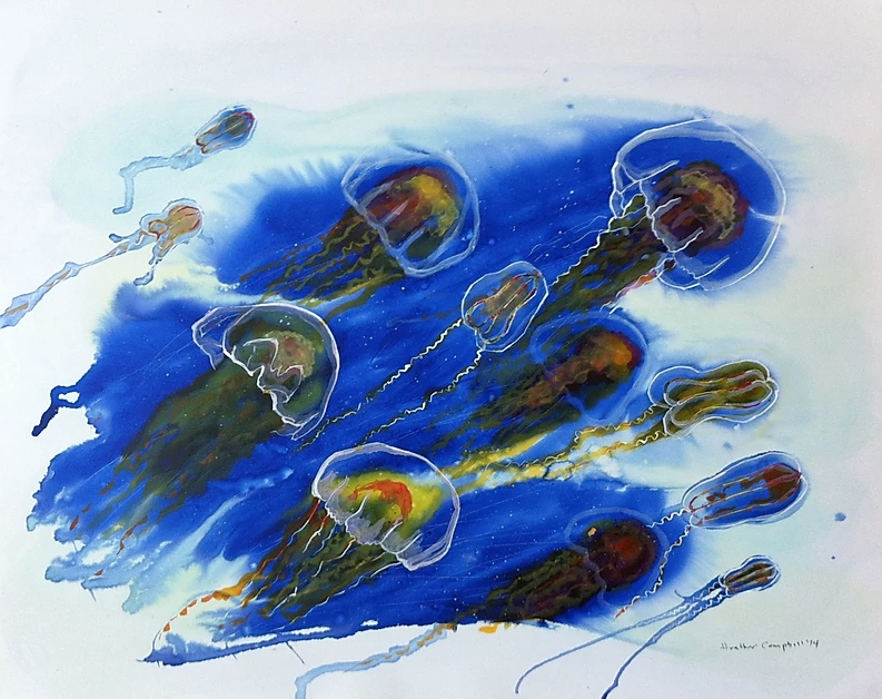 CampbellHeatherJellyfish 2014