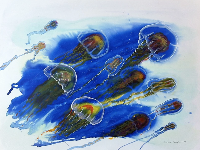 CampbellHeatherJellyfish 2014