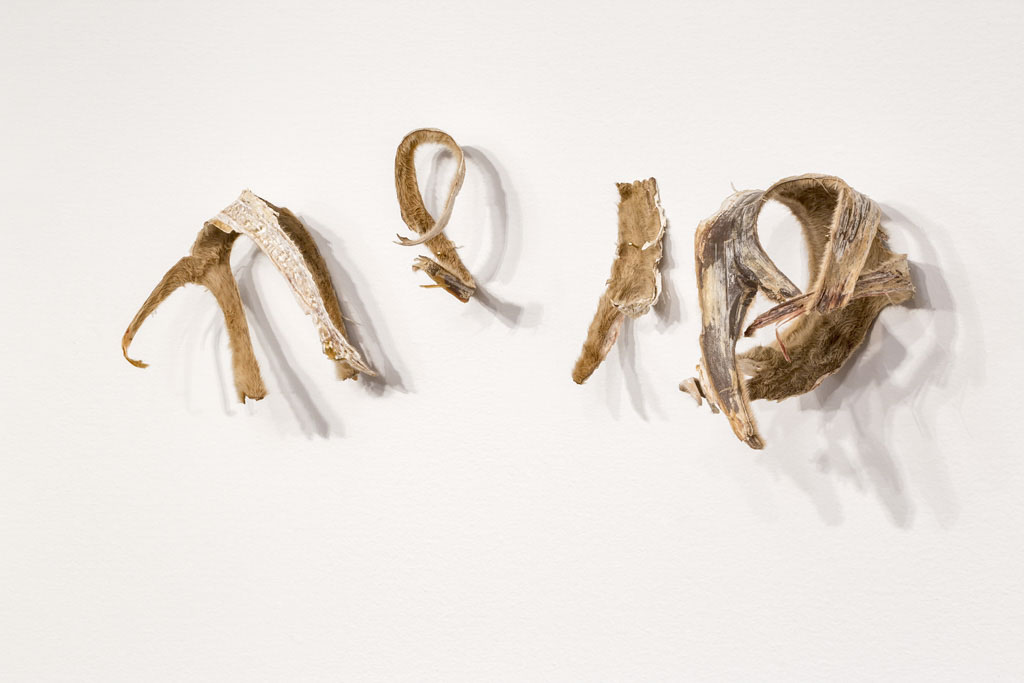 LinklaterTanyaLukinHorseHairQuestion