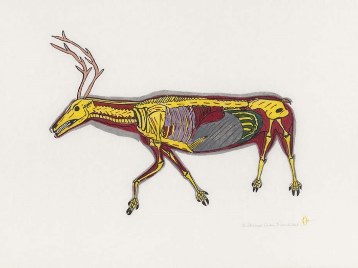 NoahWilliamTheSkeletonedCaribou