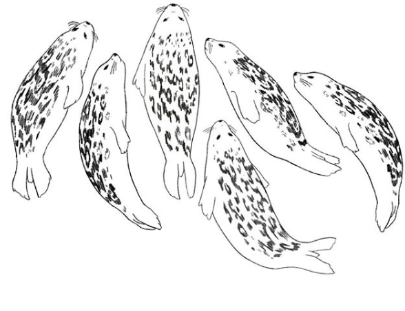 KubluitokDayleMuralSketch