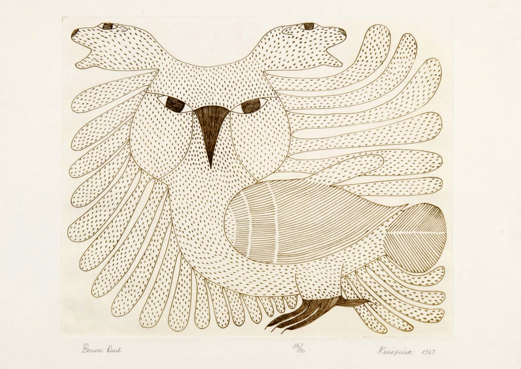 AshevakKenojuakBrownOwl