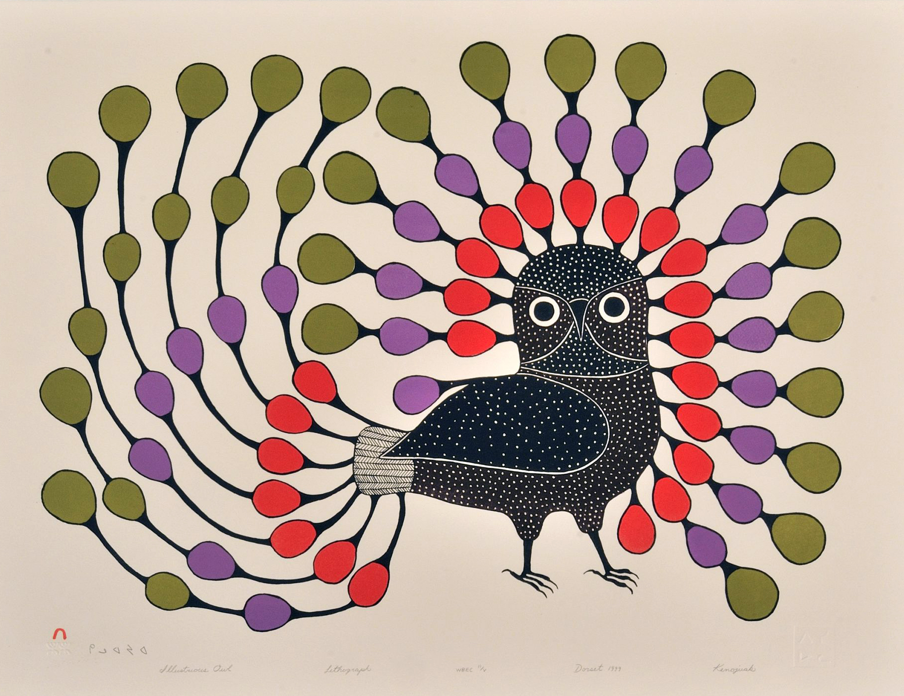 AshevakKenojuakIllustriousOwl