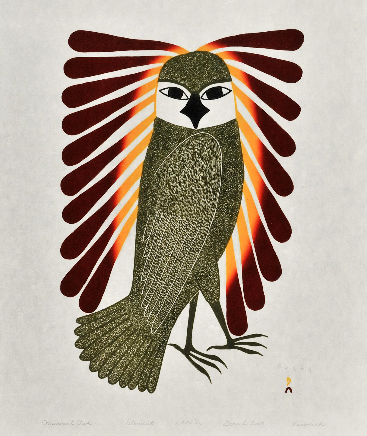 AshevakKenojuakObservantOwl