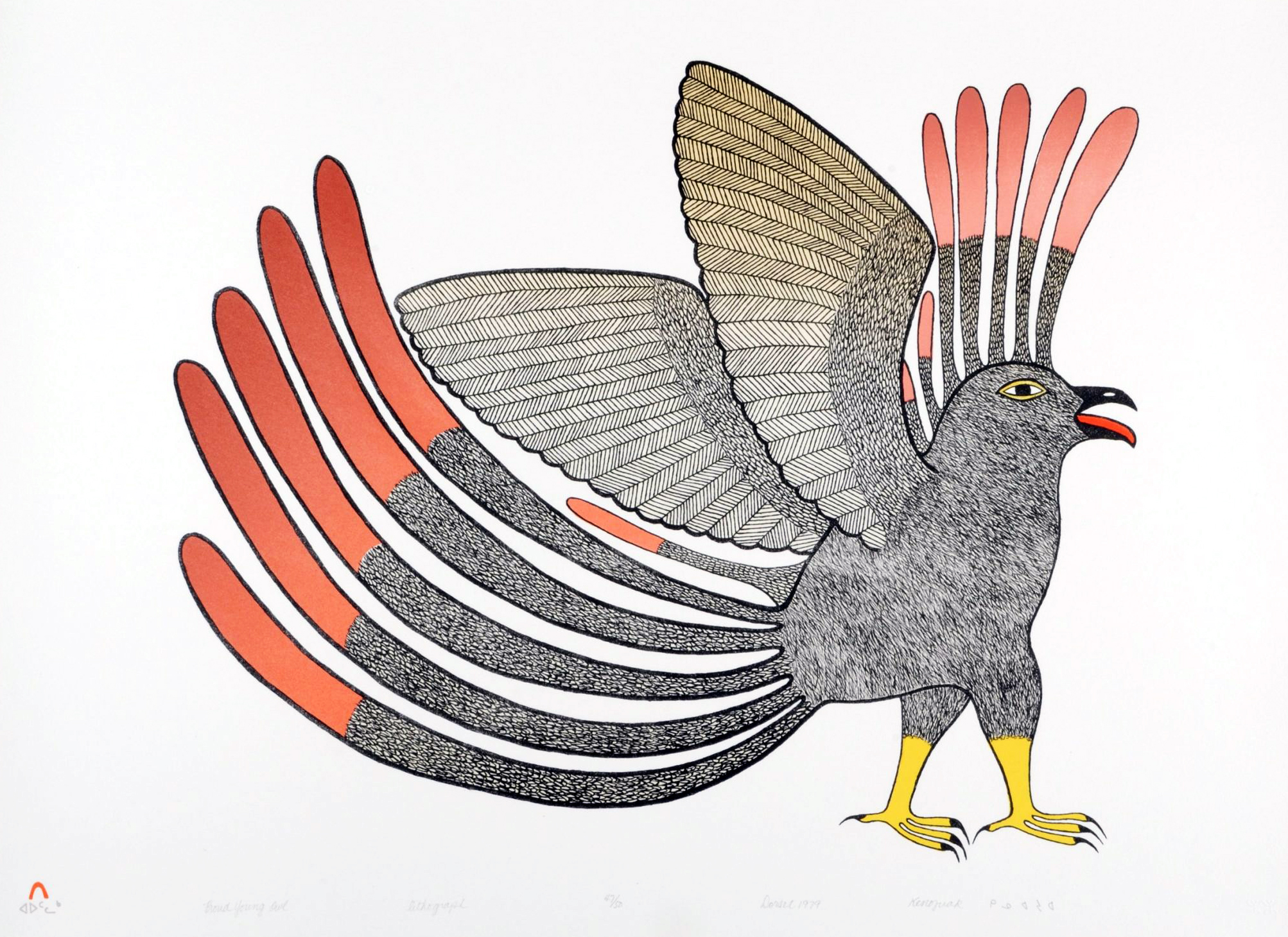 AshevakKenojuakProudYoungOwl