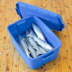 VanHeuvelenCouzynBaitCROP