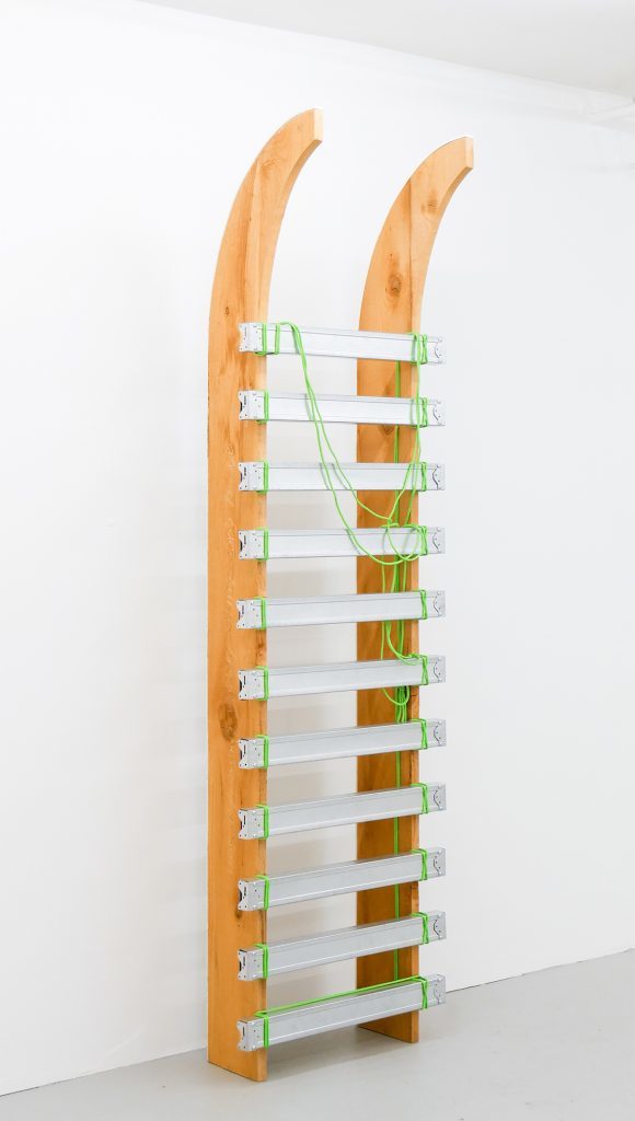 GrubenMaureenMovingWithJoy(Sled)