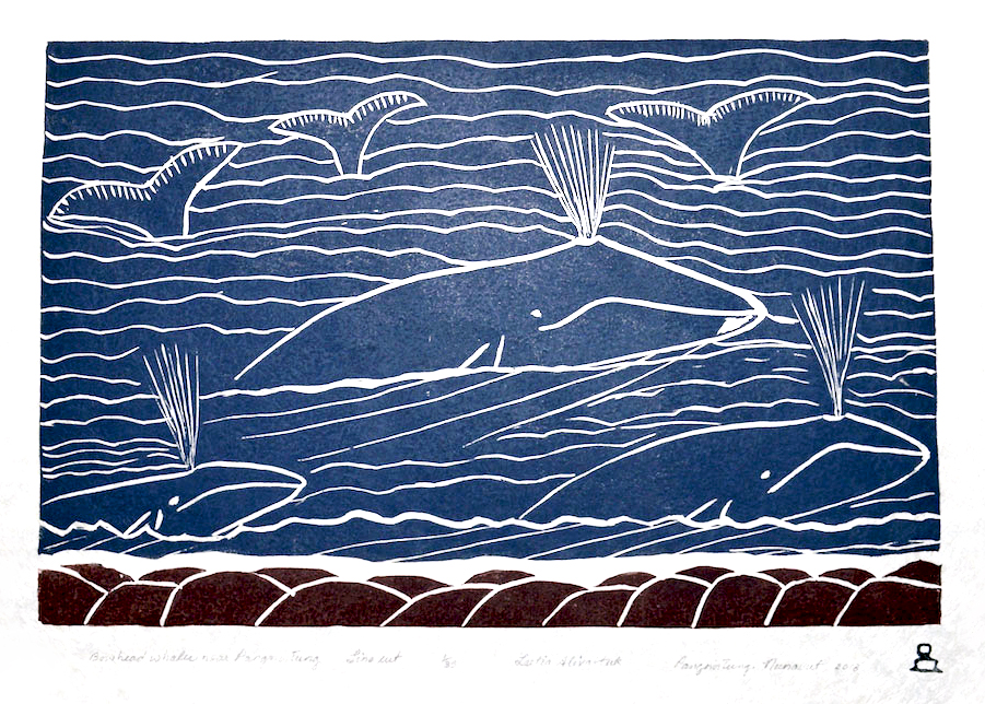 AlivaktukLeetiaBowheadWhalesNearPangnirtung