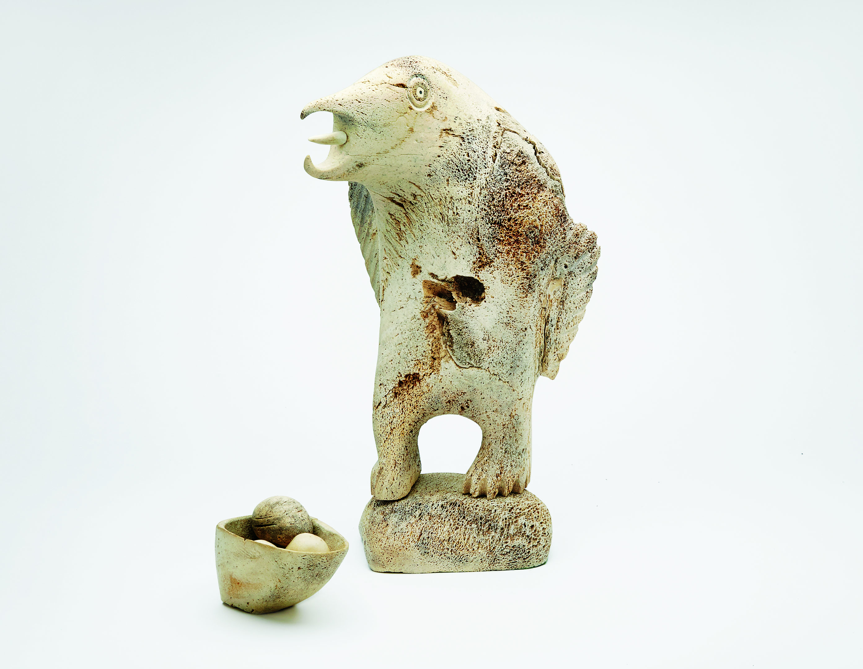 AshevakKarooBirdGaurdingNestofEggs