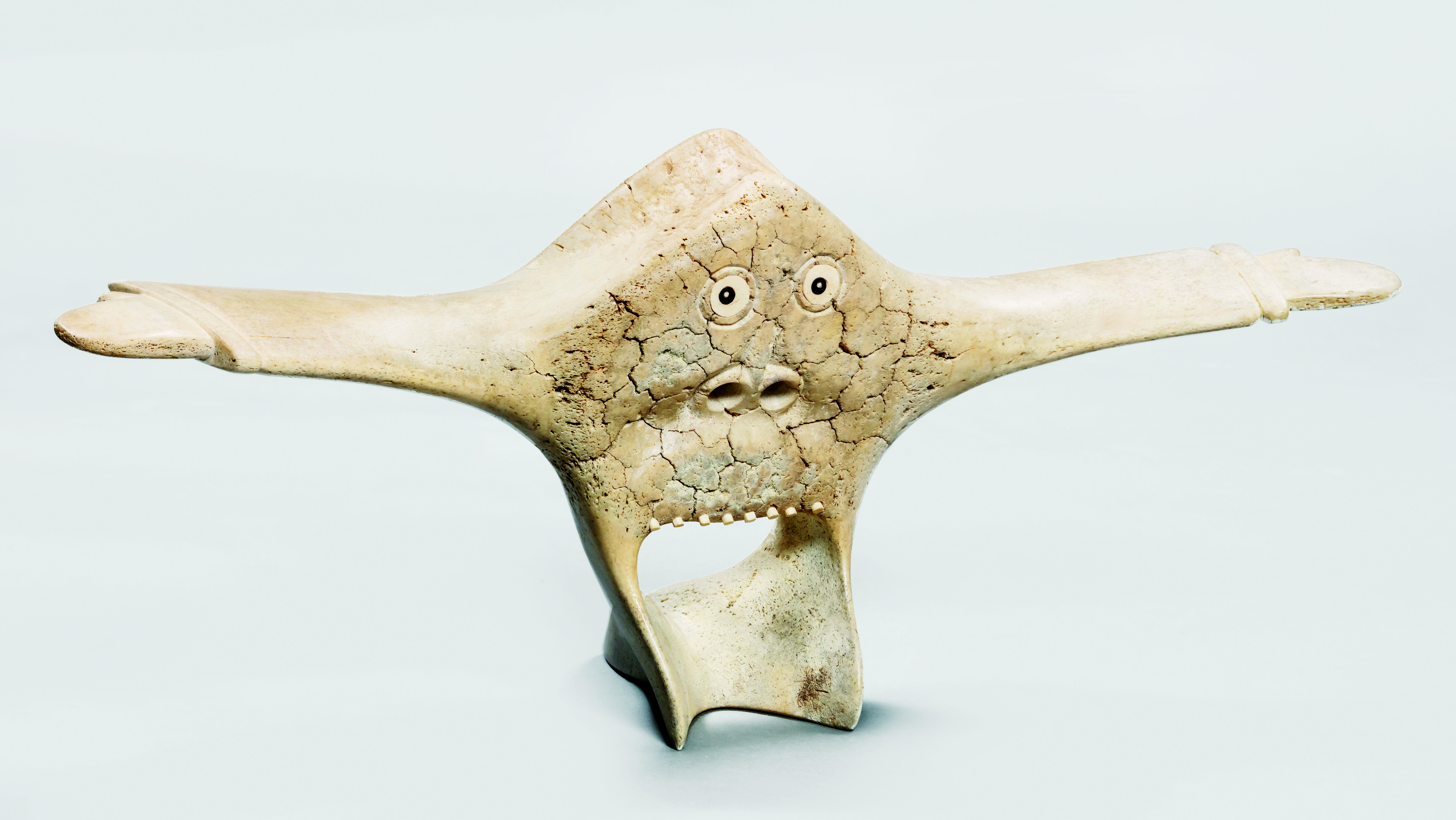 AshevakKarooFlyingShaman