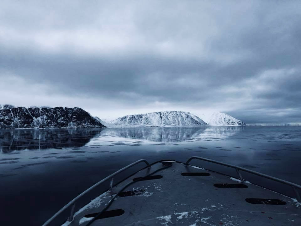 AudlalukWatskoLaisaUntitled