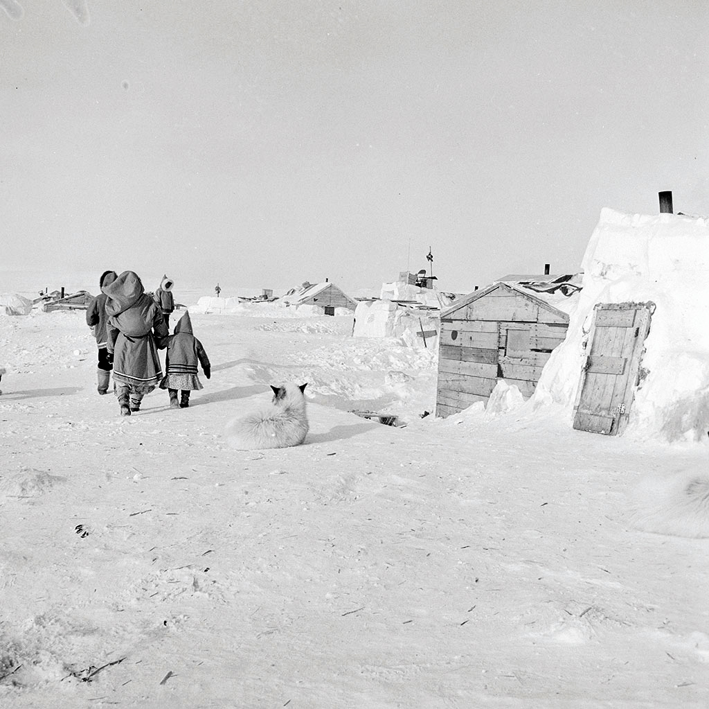 ResoluteBay1956