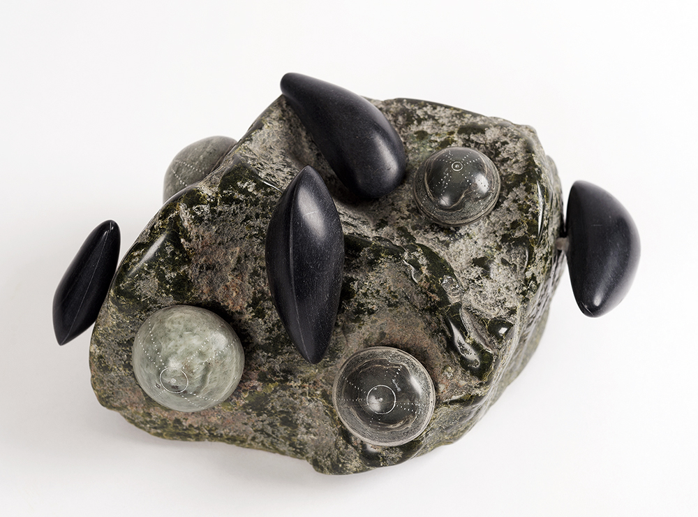 CrowJobieMusselsAndSeaUrchinOnARock