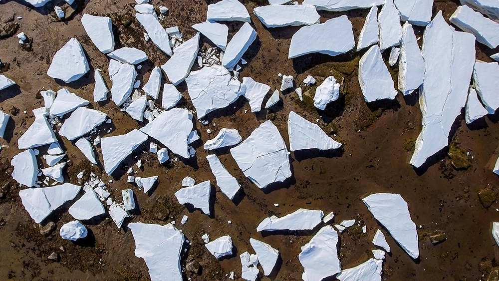 AllenEldredNaturesJigsaw