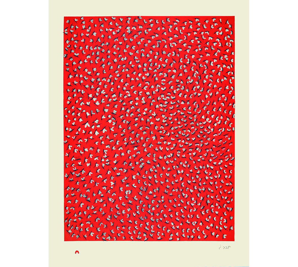 PootoogookCeeCeeMosquitoes