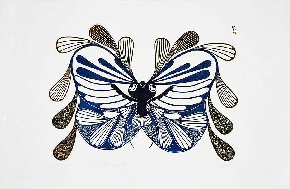 SamuellieEliyakotaKituriagalukLargeMosquito