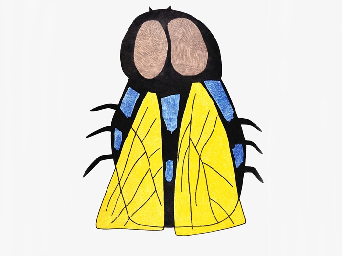 AkesukSaimaiyuQamajuq(Fly)Landscape