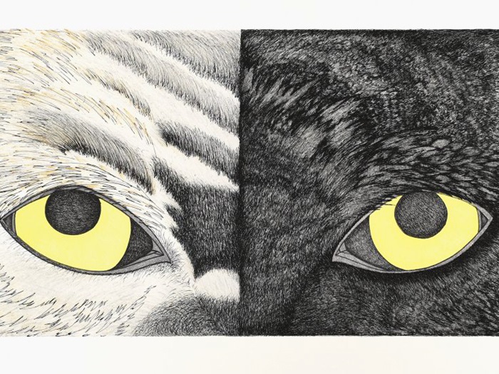 SamayualiePadooOppositeAttraction