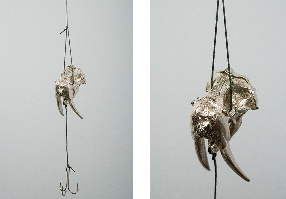 VanHeuvelenCouzynWalrusLure