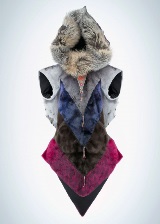 Photo Stephen Ballard