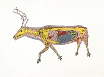 Courtesy Winnipeg Art Gallery