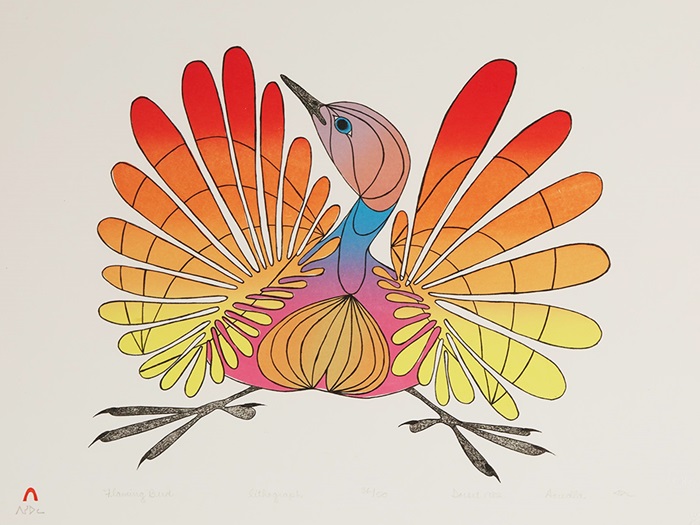 PudlatAoudlaFlamingBird