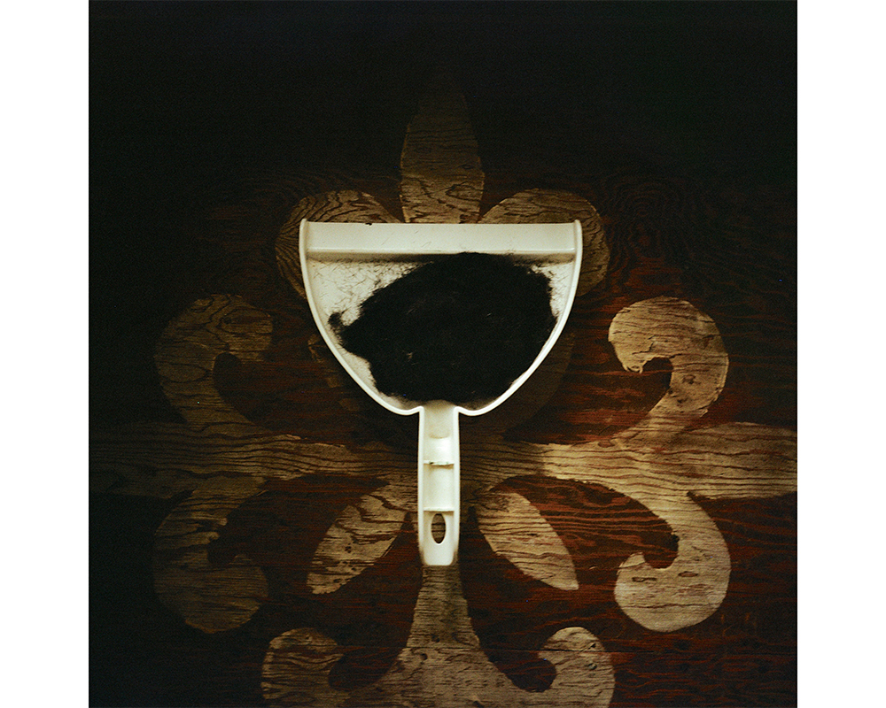 AdamsBrianAfterGivingMySelfAHaircut