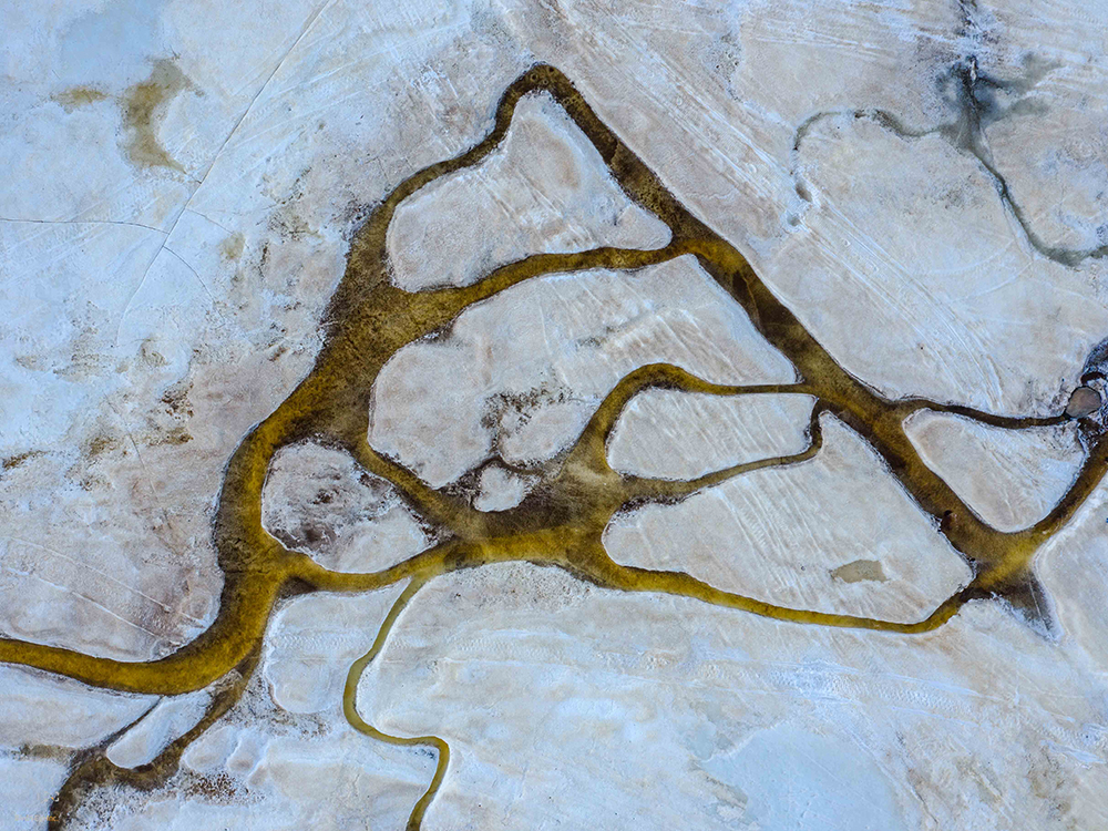 AllenEldredThePusher