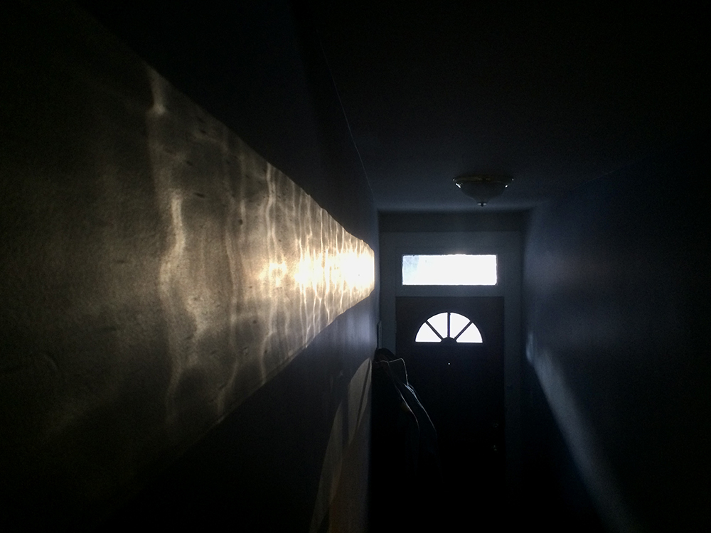 PartridgeTaqralik15December2020