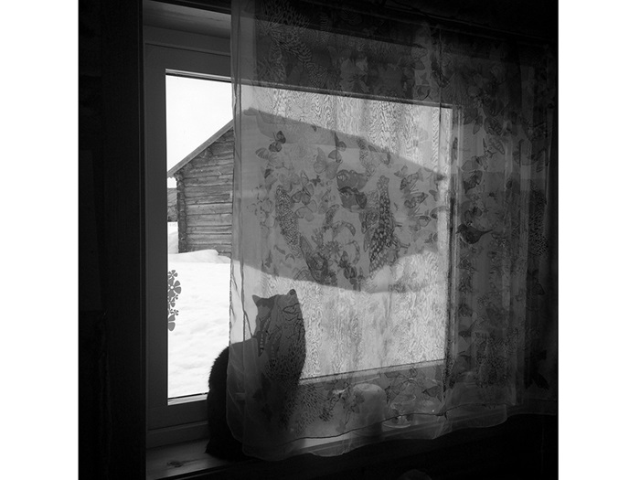 PartridgeTaqralikBiskOnQuarantineDayOne