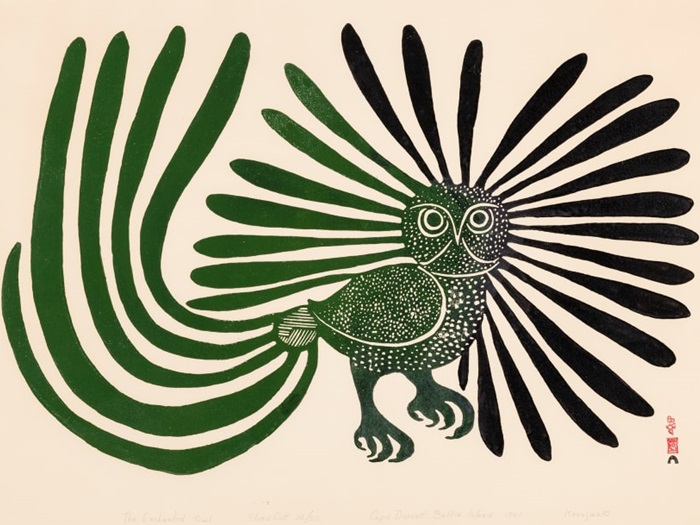 AshevakKenojuakEnchantedOwl24