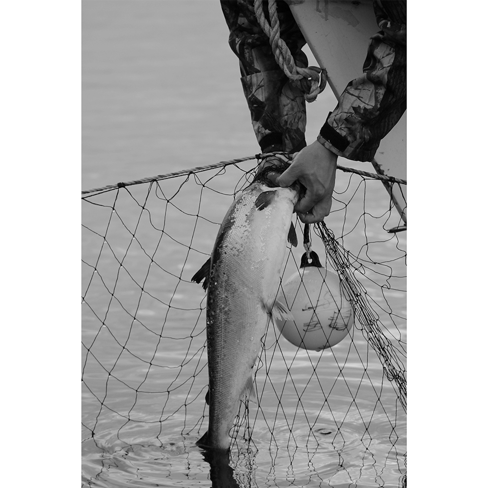 7_AndersenHolly_Quota