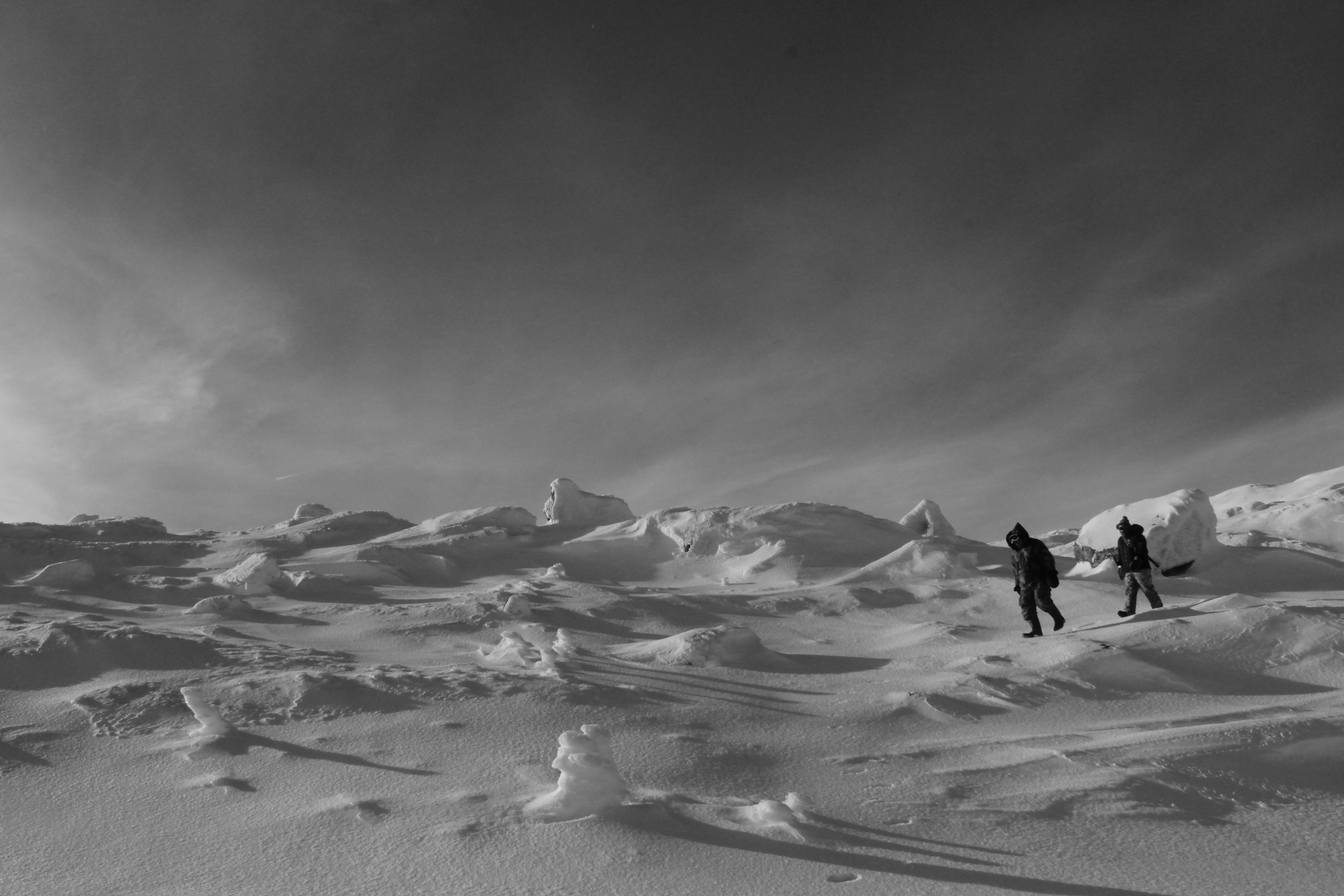 Holly Andersen Hare Hunting