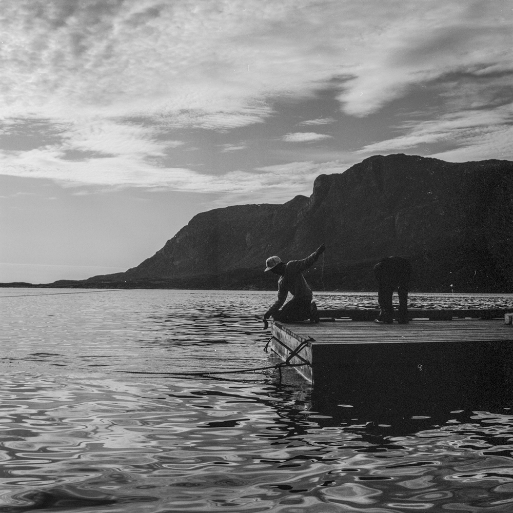 StorchInuuteqAtHomeWeBelong