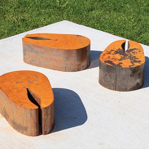 Arctic Char Steaks (detail) (2021)