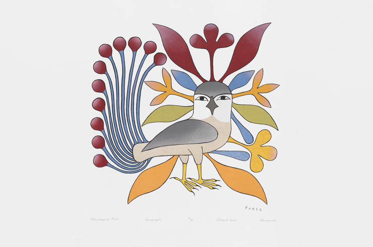 AshevakKenojuakFlamboyant Owl