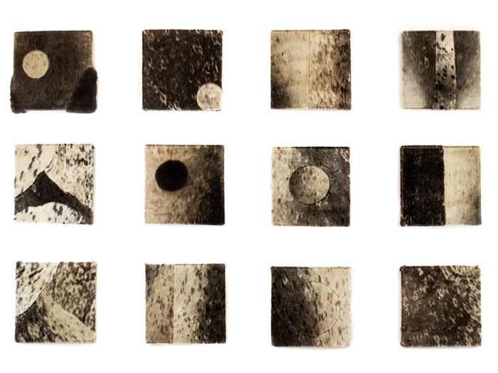 Ilvagak_SeasonsTransitions_2019