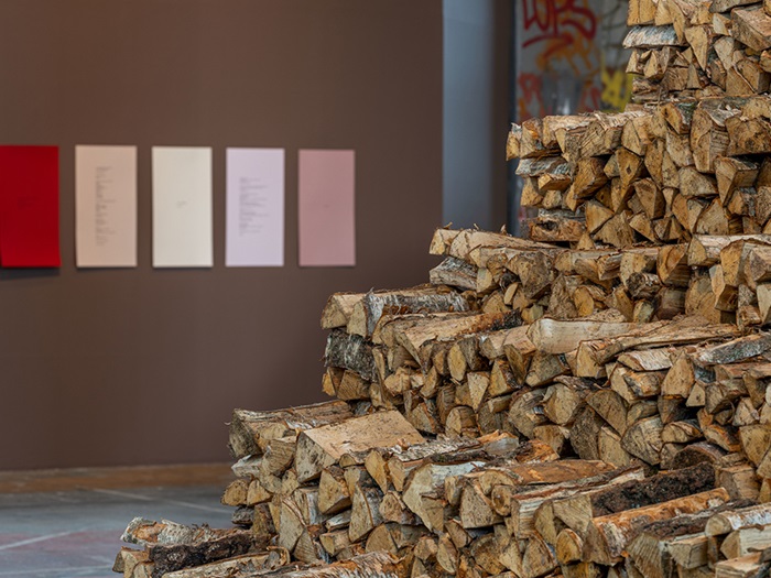 Installation_GrahnCarola_FirewoodandPoems