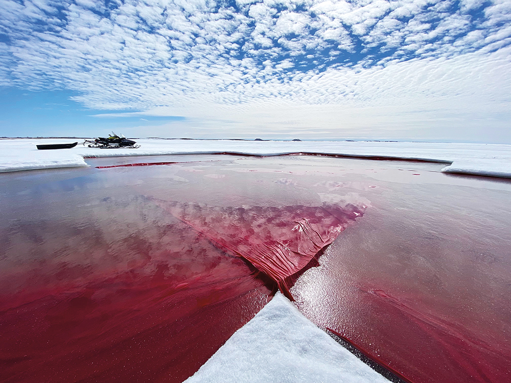 MaureenGruben_UntitledInProcess_Installationviews_2022_b