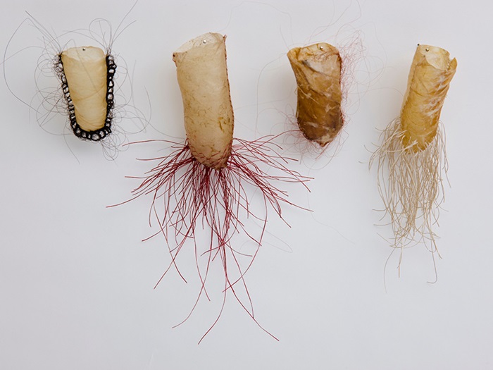 SonyaKelliherCombs_SmallSecrets