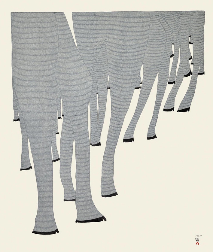 TeeveeN-CaribouLegs-slider-1