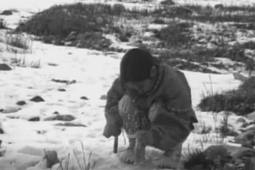 AqtuqsiMyNightmareStill