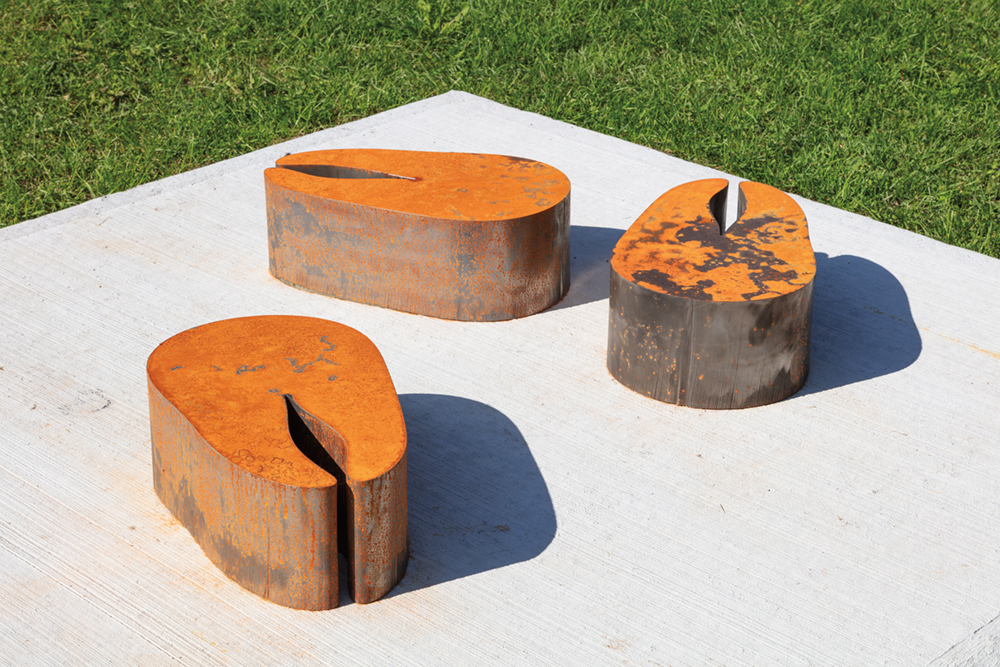 CvanHeuvelen_ArcticCharSteaks_CLARINGTON PHOTO LAURA FINDLAY