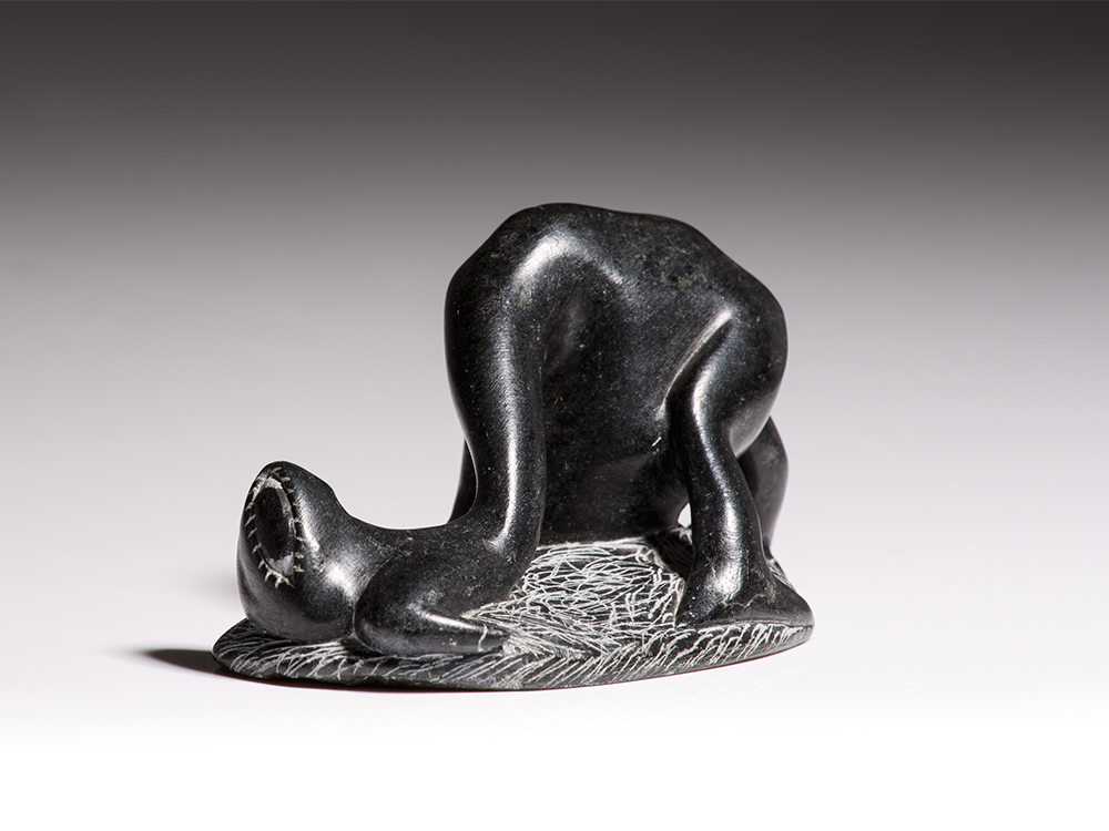 EQinuajua_CuriousCreature