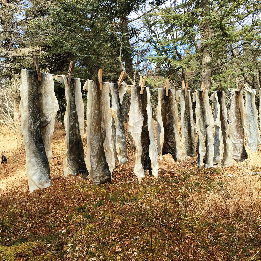 36.4_Legacy_IMG_1881