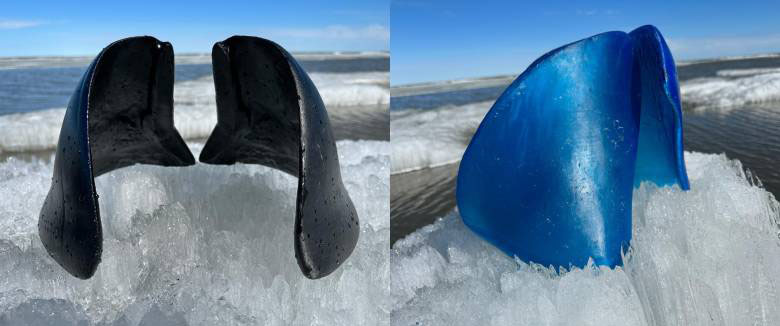 GrubenMaureenDanceMeThroughTheHerd