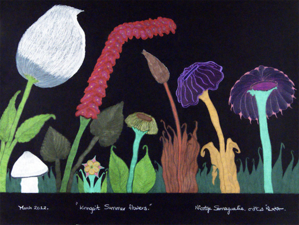 Nicotye Samayualie Kinngait Summer Flowers 2012