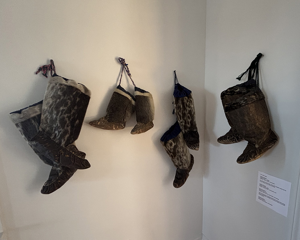 AFlowers_Bonavista Biennale_kamiit