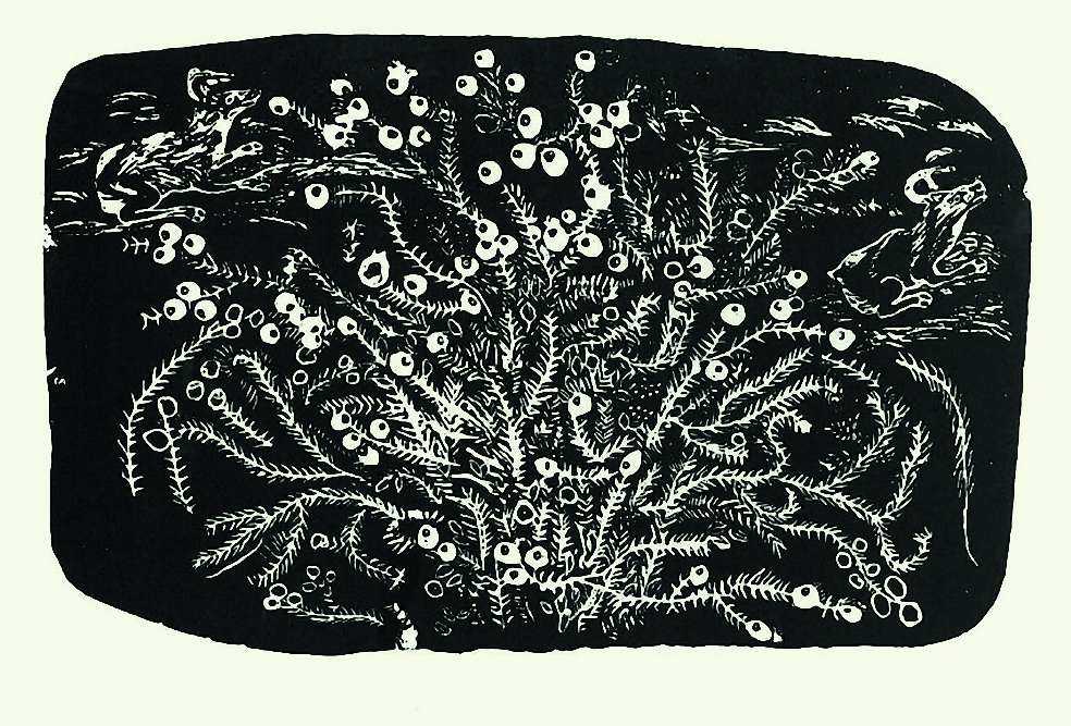 inukpukdanielblueberriesininoucdjouac