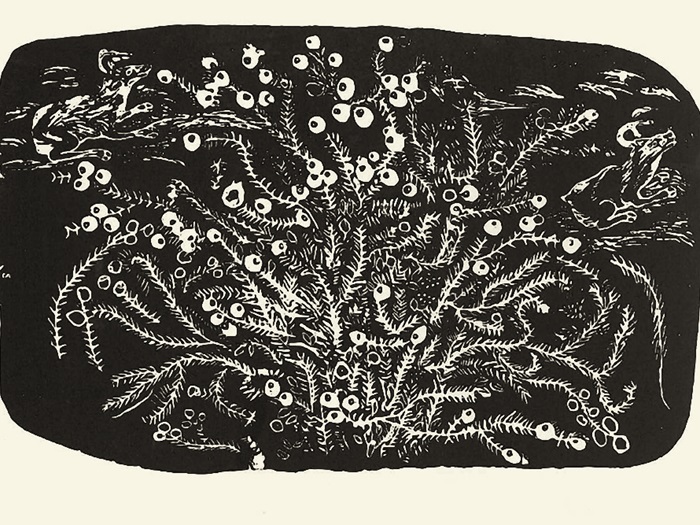 inukpukdanielblueberriesininoucdjouac